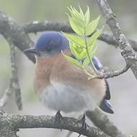 Profile Image for Juan.