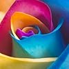 Corine