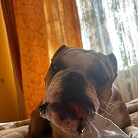 Profile Image for Pavlo Karbovnyk.