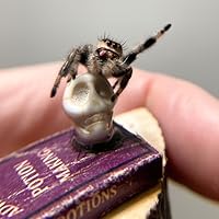 Abominable Snowmen: Legend Come to Life by Ivan T. Sanderson