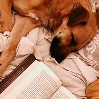 Profile Image for miskatonic.books.