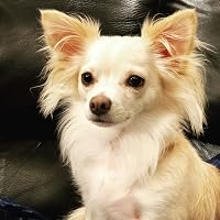 Profile Image for Jeneen.