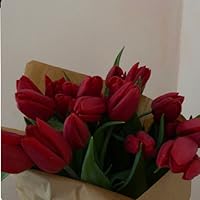 Profile Image for Lise.