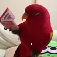 Profile Image for Mateo Tomas.