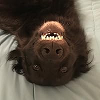 Profile Image for Alicia.