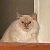 Profile Image for Max.