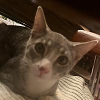 Profile Image for Katie.