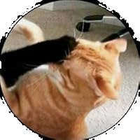 Profile Image for dora.