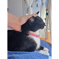 Profile Image for Jazmín.