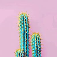 Profile Image for ALBA TheBookClub.