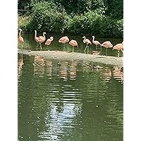 Profile Image for Bethie.