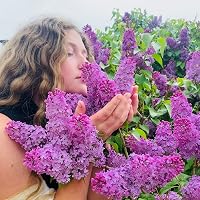 Profile Image for Bekah Walker.