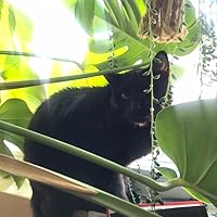 A Lycanthropy Reader: Werewolves in Western Culture by