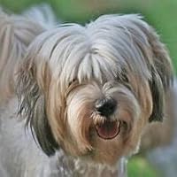 Profile Image for Michelle allan.