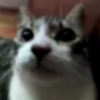 Profile Image for Michael.
