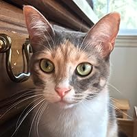 Profile Image for Carol.