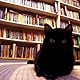 Amanda - Cat Addict Historian