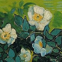 Profile Image for Soley.