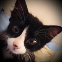 Profile Image for Jess Hastings.