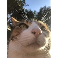 Profile Image for Karen E..