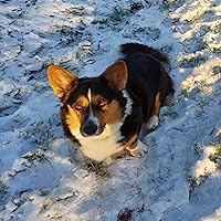 Profile Image for Kirsi.