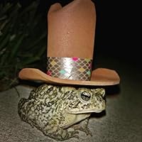 Profile Image for xlmarge420.