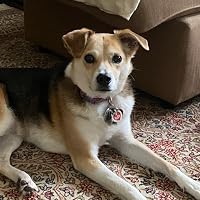 Profile Image for Katie.