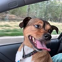 Profile Image for Ava05.