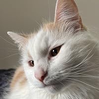 Profile Image for Katie.
