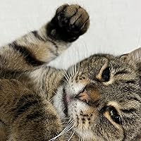 Profile Image for Ana.