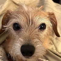 Profile Image for Connie.