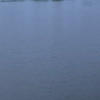 Profile Image for maggie.