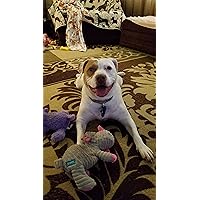 Profile Image for Sue.