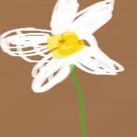 Profile Image for Nilofar Panah.