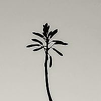 Katsura Funakoshi & Ernst Barlach: A Map Of The Time by Katja