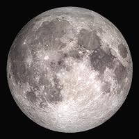 Profile Image for Kevin.