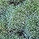 betelgeuse