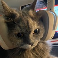 Profile Image for lamar M.
