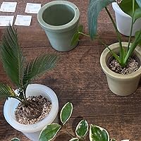 Profile Image for ✿.