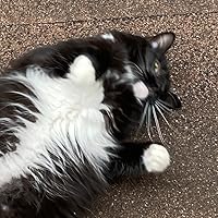 Profile Image for Lucy!.