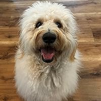 Dynamics of Skill Acquisition: A Constraints-Led Approach by