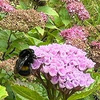 Profile Image for Grace.