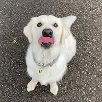 Profile Image for _linduska.