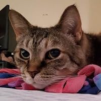 Profile Image for Colleen.