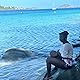 Jazzy_J234