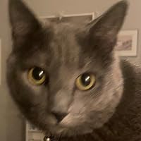 Profile Image for Ashley.
