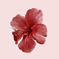 Profile Image for Karolina Bock.
