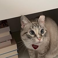 Profile Image for Kat.