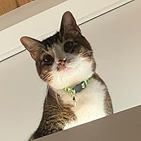 Profile Image for eli.