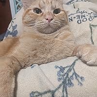 Profile Image for Juniper Copley-Sandy.